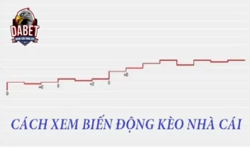 Biến động kèo nhà cái và những cách đánh khác trong giới cá cược nên tham khảo