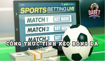 Hướng dẫn cách tính kèo Châu Âu hiệu quả cho khách cược