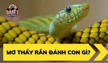 Chuyên gia phong thủy bật mí mơ thấy rắn đánh con gì?